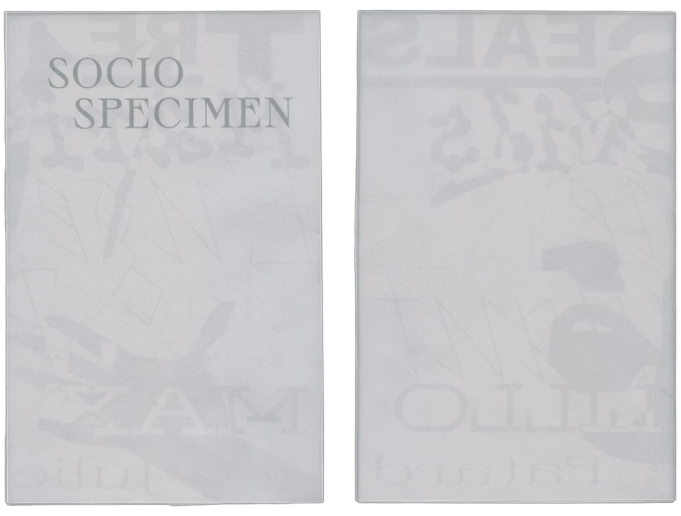 Socio Specimen